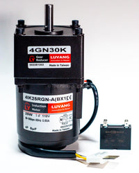 25W Conveyor Motor
