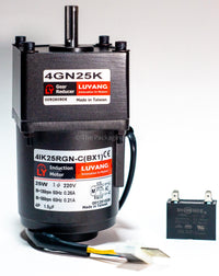 25W Conveyor Motor